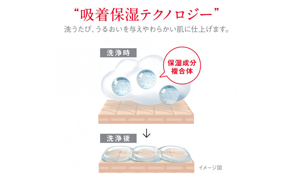 【新パッケージ】hadakara（ハダカラ）ボディソープ　泡で出てくるタイプ　フローラルブーケの香り　本体540ml 12本セット