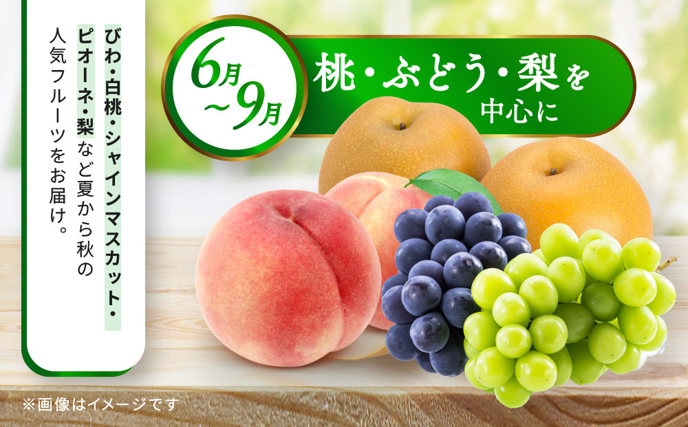 【定期便10回Sサイズ】 フルーツ セット 定期便 ( 約3 ～ 5品 × 10ヶ月 ) ｜産直あきんど 香川産 四季のフルーツ 創業100年