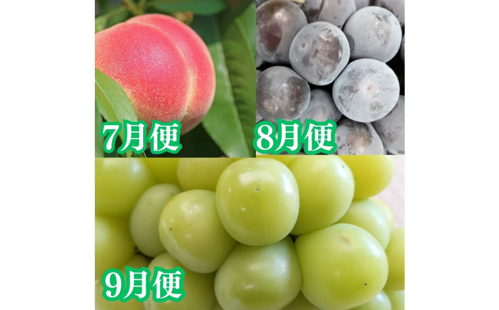 ãå®æäŸ¿å
š7åãçŸå³ããæç©å®æäŸ¿ã