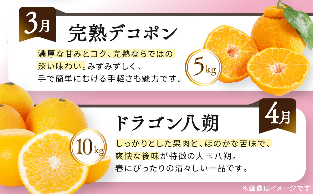 《特選プラチナコース》産直あきんど厳選フルーツ！魅惑の12回便