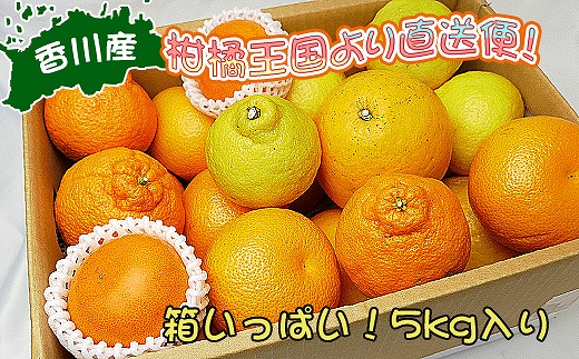 莉翫′譌ャ縺ョ譟第ゥ伜兇謠縺シ∝揩蜃コ逕」縺ョ譟第ゥ倩ゥー繧∝粋繧上○繧サ繝繝