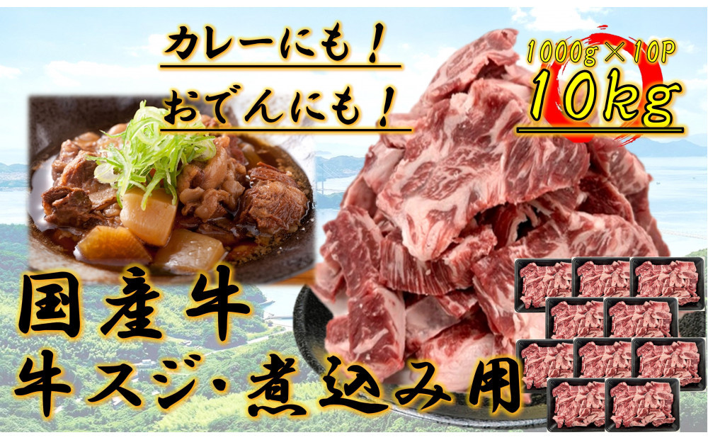 国産牛　スジ　10kg