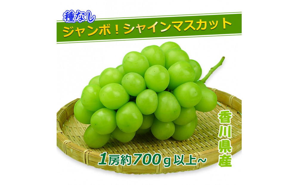 《2026年発送》特秀品シャインマスカット ( １房 約700g以上 ) ぶどう マスカット 香川県産