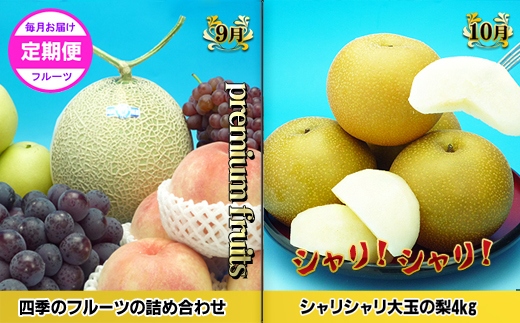 ããŽãŒã«ãã³ãŒã¹Bãç£çŽãããã©å³éžãã«ãŒãïŒé
æã®12å䟿