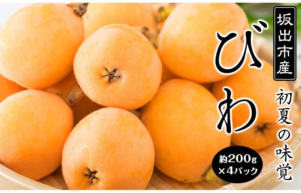 びわ 坂出市産 約1.6kg ( 4パック × 2箱 )｜初夏の味覚