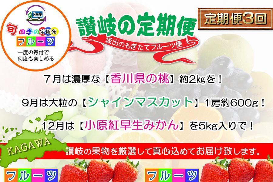 ãå®æäŸ¿3åDã³ãŒã¹ã ãã«ãŒã ã»ãã å®æäŸ¿ ( æ¡ çŽ2kg & ã·ã£ã€ã³ãã¹ã«ãã 1æ¿ çŽ600gä»¥äž & ã¿ãã 5kg à 3ã¶æ ) ïœç£çŽãããã© ååºç£ 嵿¥100幎