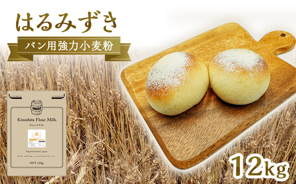 パン用 強力小麦粉「はるみずき」12kg