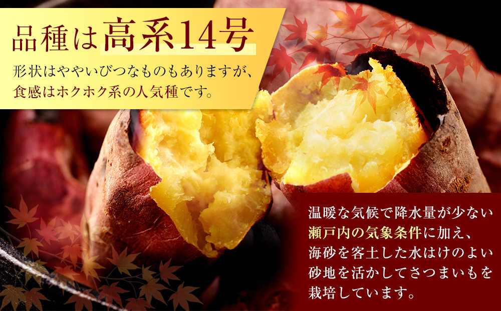＜2026年8月下旬以降発送・先行予約＞【訳あり】坂出金時いも　約5kg×2箱　2L～Mサイズ
