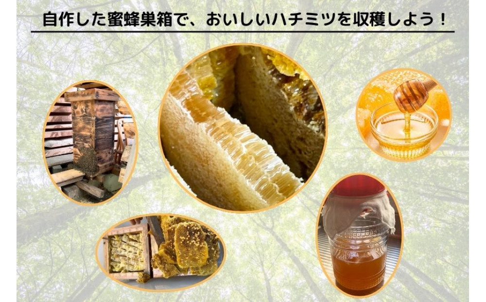 å€©ç¶ææã䜿ã£ãèªåã§çµã¿ç«ãŠããããã巣箱ïŒäžäžèéšïŒ
