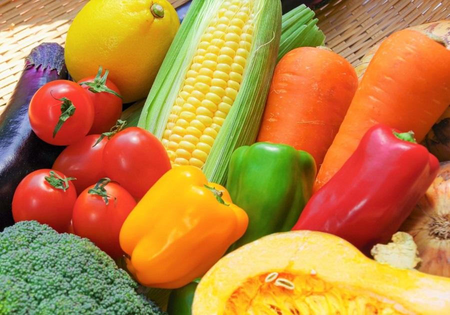 【定期便12回】野菜ソムリエの選ぶ旬のお野菜と果物セット