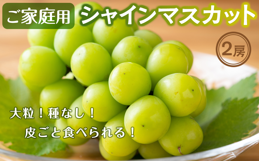 ご家庭用シャインマスカット2房入り（1.1kg以上）