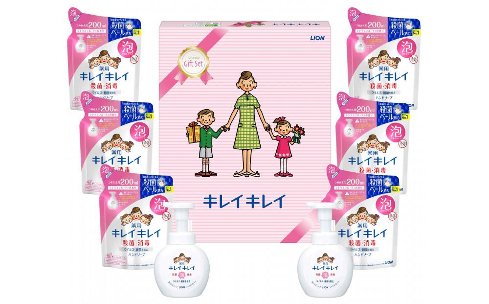 キレイキレイギフトセット E  ( 薬用泡ハンドソープ 250ml × 2 & 詰替用 200ml × 6 ）【キレイキレイ きれいきれい 殺菌 予防 石鹸 人気 ギフトセット 人気日用品 日用品 BA1032】