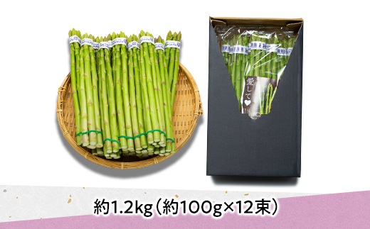 香川で生まれ育ったアスパラガス「さぬきのめざめ」