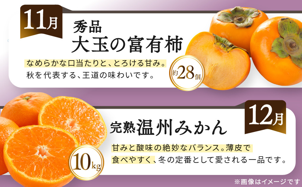 《特選プラチナコース》産直あきんど厳選フルーツ！魅惑の12回便