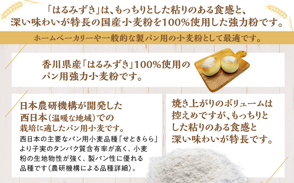 パン用 強力小麦粉「はるみずき」25kg