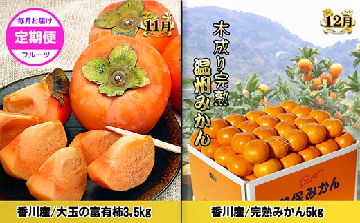 ããŽãŒã«ãã³ãŒã¹Aãç£çŽãããã©å³éžãã«ãŒãïŒé
æã®12å䟿