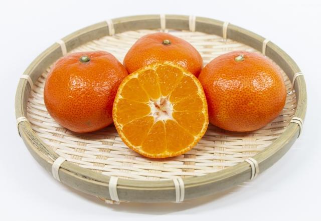 小原紅みかん  香川県産 約5kg ｜ みかん オリジナル品種 【配送不可地域：北海道・沖縄県・離島】