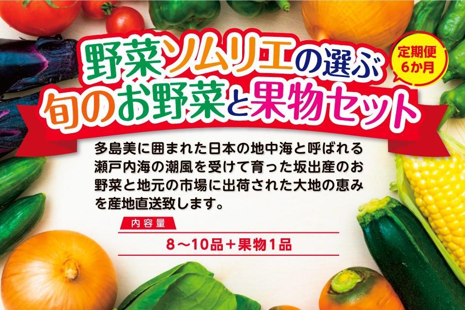 【定期便6回】野菜ソムリエの選ぶ旬のお野菜と果物セット