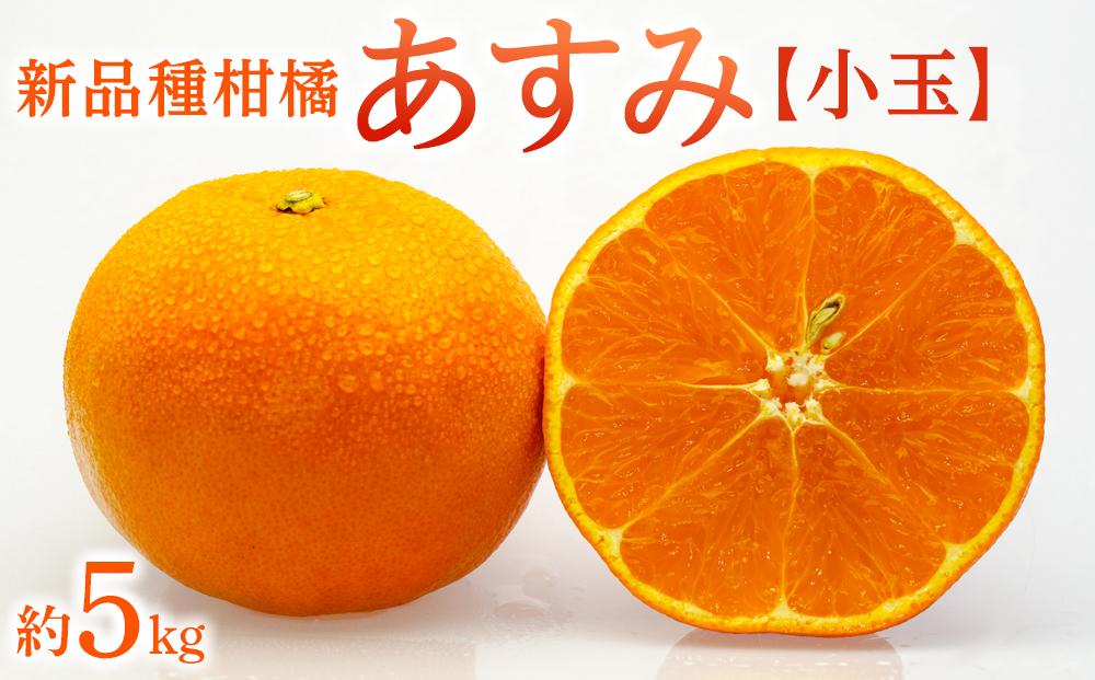 新品種柑橘「あすみ」小玉 約5kg