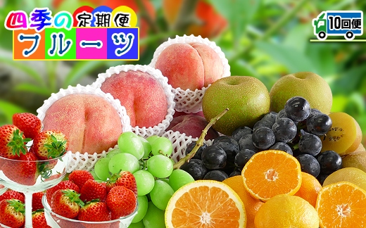 【定期便10回】創業100年 産直あきんど四季のフルーツの定期便《10ヶ月連続でお届け》