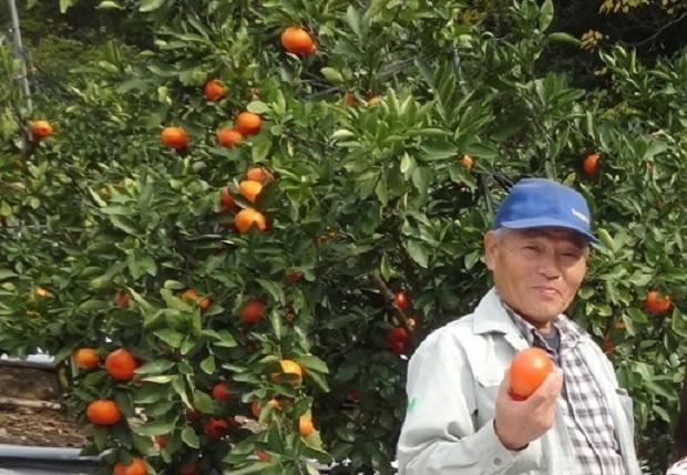 å°åçŽ
ã¿ãã倧çŠïŒ85gÃ6åïŒ+å°åçŽ
ã¿ããã¢ã€ã¹å€§çŠïŒ70gÃ6åïŒã»ããïœé
éäžå¯å°åïŒåæµ·éã»æ²çžçã»é¢å³¶ïœãµãããš çŽçš è¿ç€Œå ãåãå¯ã åãå¯ã ã°ã«ã¡ ææ© ã¹ã€ãŒã ãèå ã¹ã£ãŒã ã¹ãŠã£ãŒã ããã ãã«ãŒãå€§çŠ å€§çŠ ã ããµã