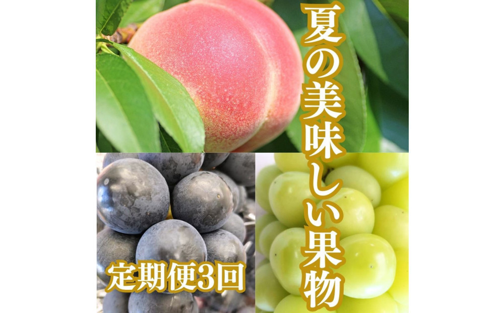 縲2026蟷エ蠎ヲ蜈郁。御コ育エ縲代仙ョ壽悄萓ソ3蝗槭大、上ョ鄒主袖縺励>譫懃黄