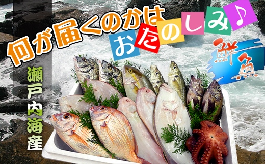 ãç¬æžå
æµ·ç£ã嵿¥100幎ã®éå±ãããéžã³æããæšãé®®éçŽé䟿ïœãé
éäžå¯å°åïŒåæµ·éã»æ±åå°æ¹ã»æ²çžã»é¢å³¶ã