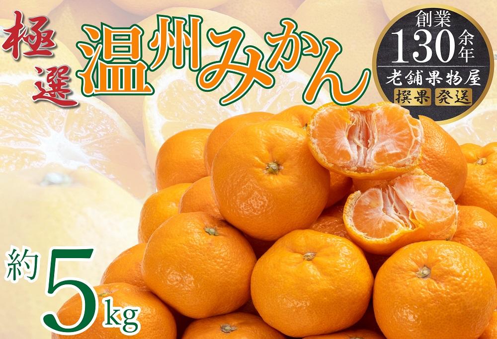 極撰！温州みかん　約5kg |みかん フルーツ 旬 美味しい みかん 新鮮 フルーツ みかん 詰合せ セット フルーツ 人気 フルーツ 厳選 おすすめ フルーツ