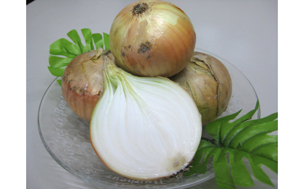 ïŒ2026幎3æäžæ¬ä»¥éçºéã»å
è¡äºçŽïŒæ¥µæ©çããŸãã çŽ10kg