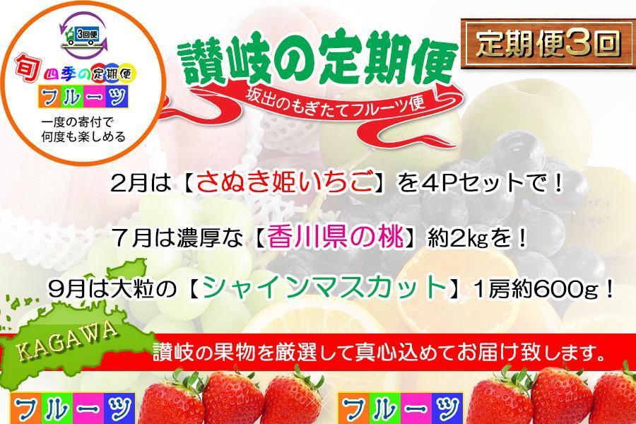 【定期便3回Cコース】 フルーツ セット 定期便 ( いちご 約250g × 4パック & 桃 約2kg & シャインマスカット 1房 約600g以上 × 3ヶ月 ) ｜産直あきんど 坂出産 創業100年
