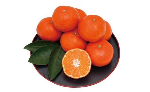 å°åçŽ
æ©çã¿ãã çŽ5kgïŒçŽ30ïœ60åïŒ