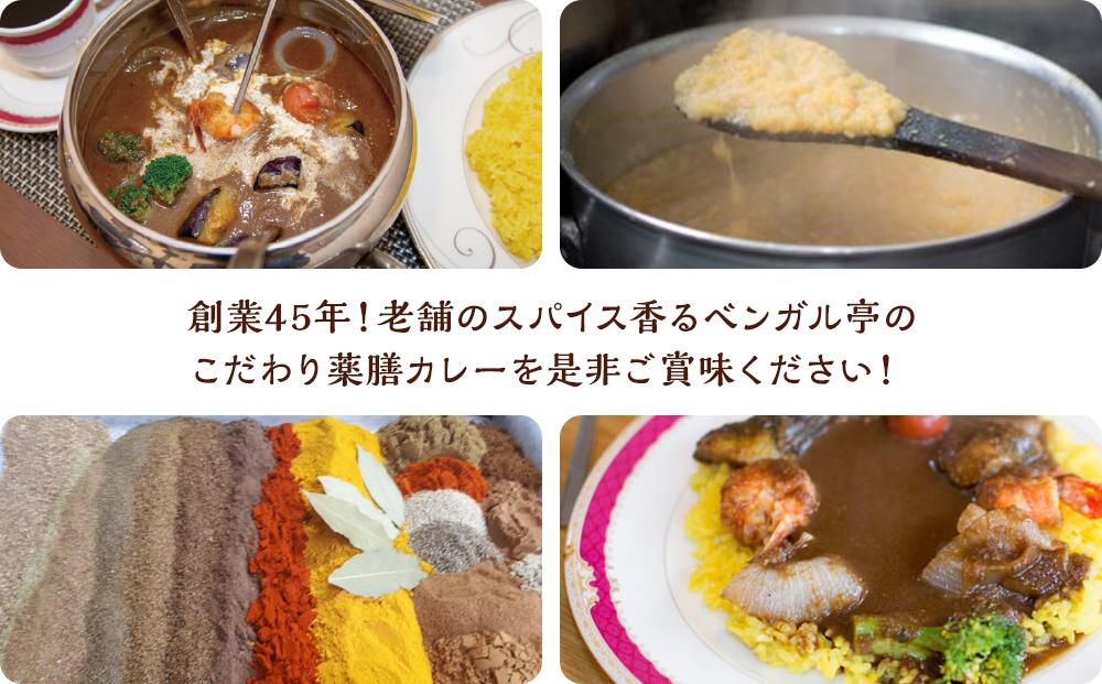 F ベンガル亭特製スパイスカレー！（チキン・辛口）4袋