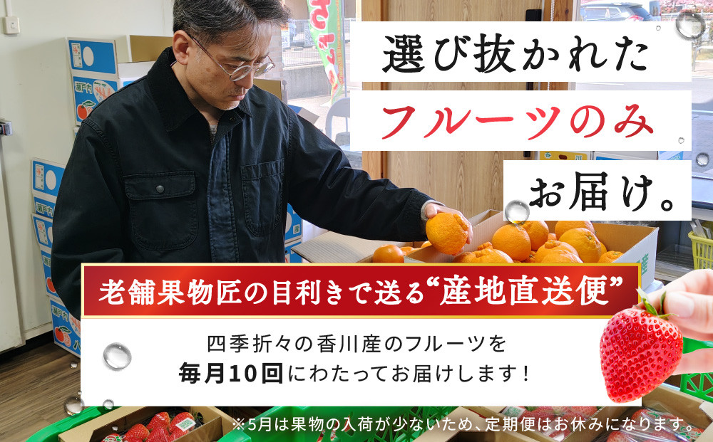 【定期便10回Sサイズ】 フルーツ セット 定期便 ( 約3 ～ 5品 × 10ヶ月 ) ｜産直あきんど 香川産 四季のフルーツ 創業100年