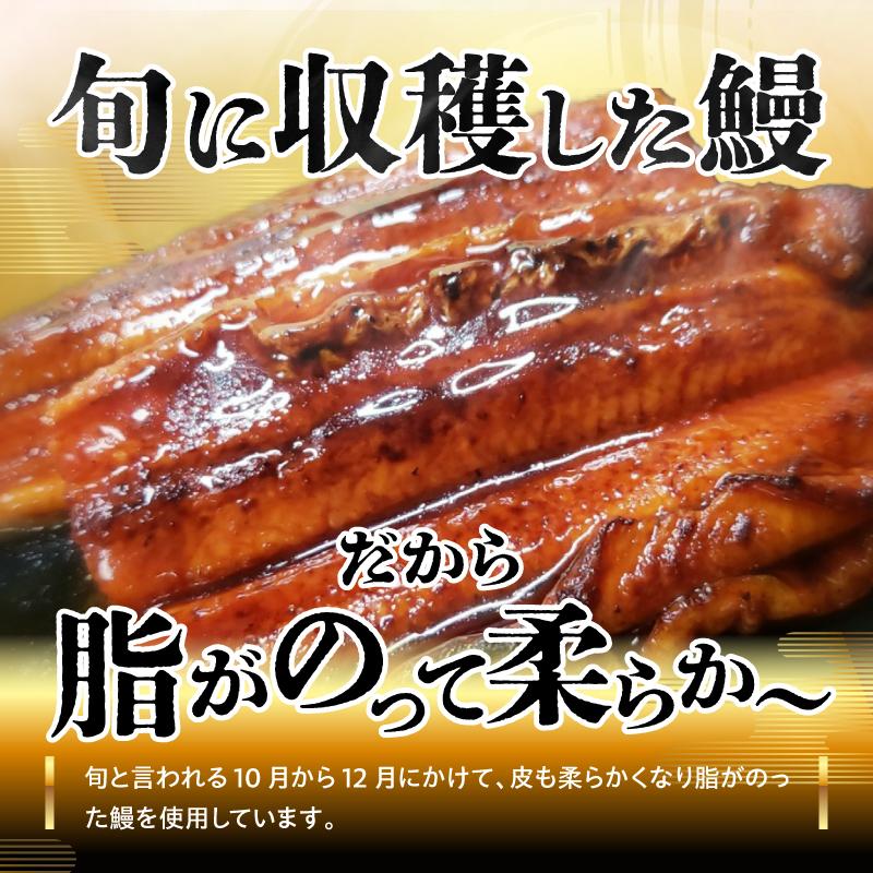 源内 うなぎの蒲焼 5尾 ( 150g × 5尾 ) 香川県産 ｜ うなぎ 蒲焼 たれ・粉山椒付き