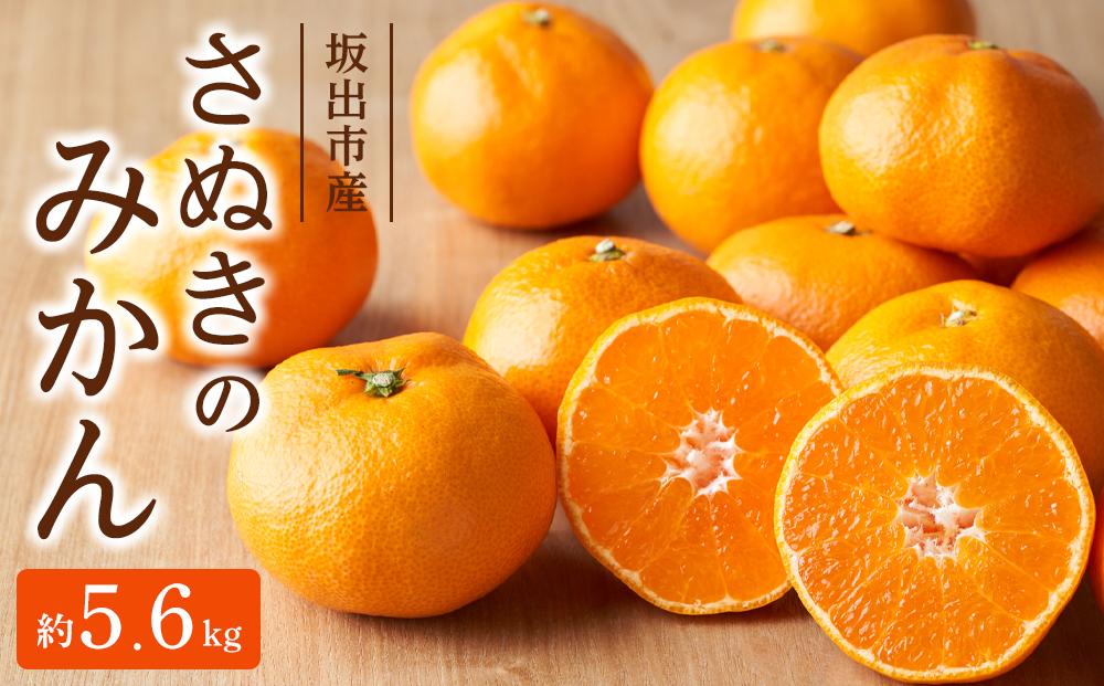 坂出市産「さぬきのみかん」 約5.6kg（約2.8kg×2箱）