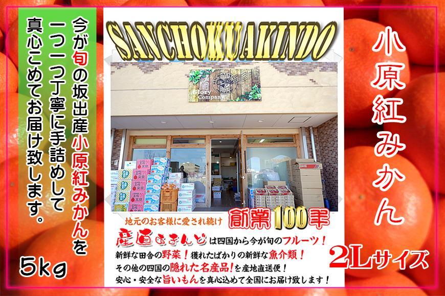 âªå
è¡å泚â«å°åçŽ
æ©çã¿ãã éŠå·çç£ çŽ5kg ( 2Lãµã€ãº ) ïœ ã¿ãã