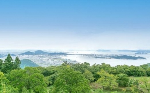 香川の銘石 サヌカイト チャイム×1個