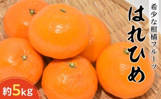 はれひめ　約5kg【配送不可：沖縄県】｜フルーツ 果物 くだもの 柑橘 食品 坂出市 人気 おすすめ 送料無料