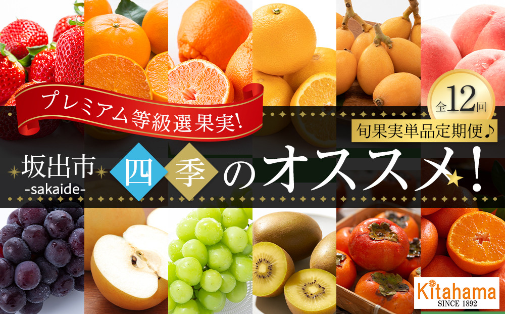 【全12回】《プレミアム等級選果実！》坂出市四季のオススメ！旬果実単品定期便♪