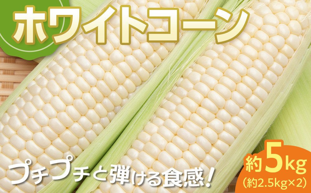 ïŒ2026幎6æäžæ¬ä»¥éçºéã»å
è¡äºçŽïŒãšããããã ãã¯ã€ãã³ãŒã³ çŽ2.5kgÃ2