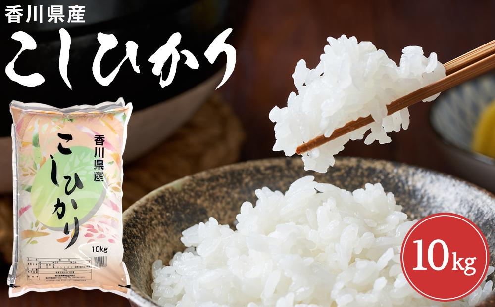 令和7年度　香川県産コシヒカリ10kg