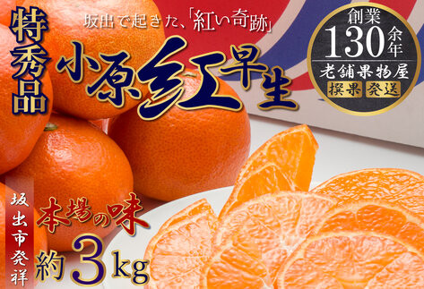 特秀品！小原紅早生みかん　約3kg【坂出発祥の真っ紅なお蜜柑】
