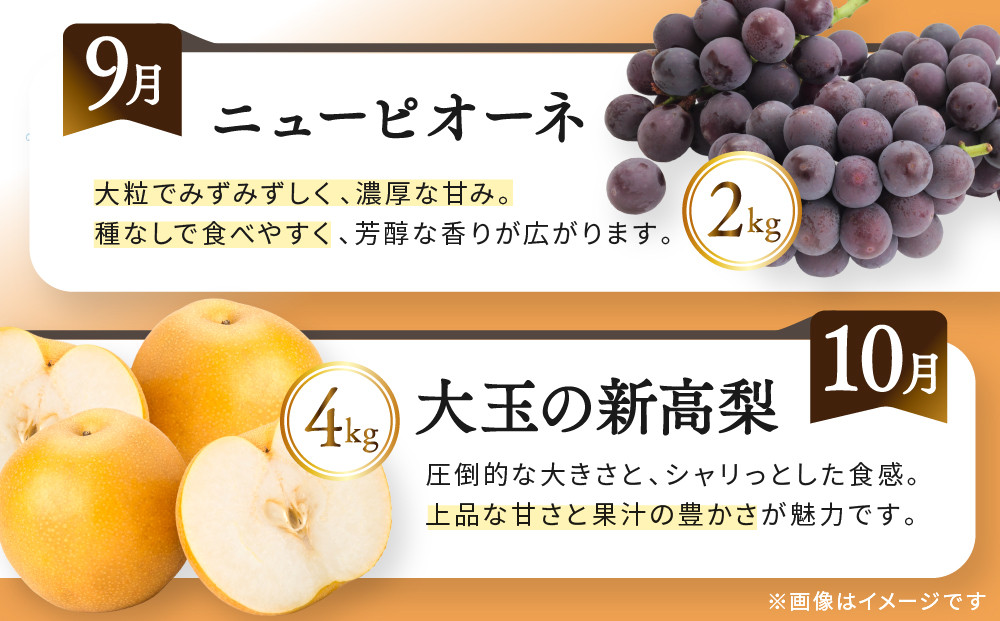 《特選プラチナコース》産直あきんど厳選フルーツ！魅惑の12回便