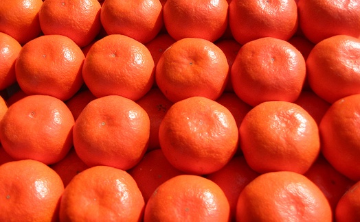 縲仙ョ壽悄萓ソ4蝗槭大卸讌ュ100蟷エ 逕」逶エ縺ゅ″繧薙←蝗帛ュ」縺ョ繝輔Ν繝シ繝縺ョ螳壽悄萓ソ縲4繝カ譛磯」邯壹〒縺雁ア翫¢縲