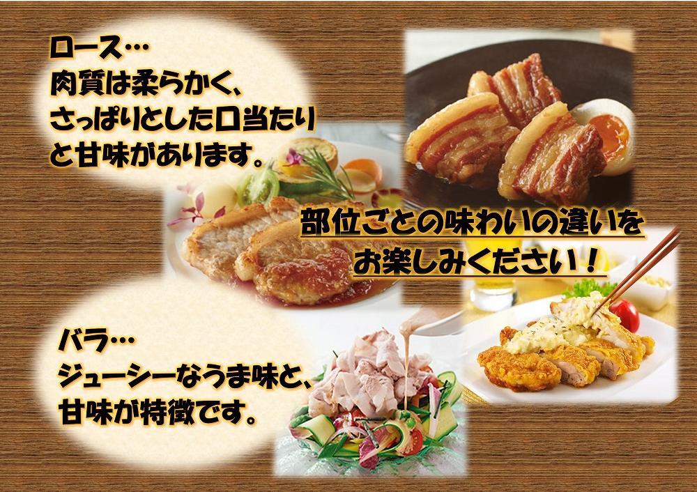 繧ェ繝ェ繝シ繝冶ア壹繝ュ繝シ繧ケ繝悶Ο繝繧ッ1000ス