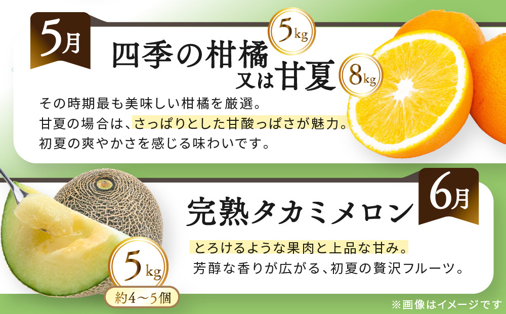 《特選プラチナコース》産直あきんど厳選フルーツ！魅惑の12回便