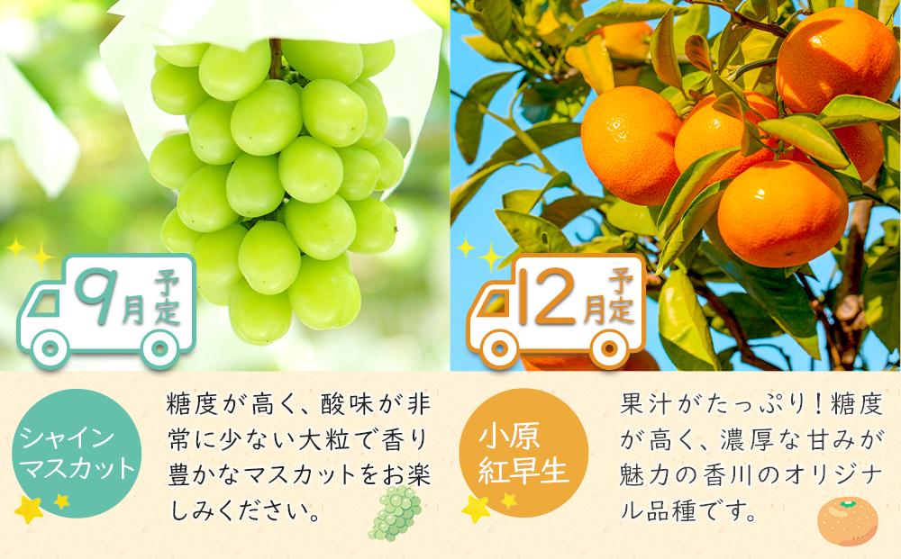 蝮ょコ縺ョ縺縺縺ィ縺薙←繧雁ョ壽悄萓ソ 縲7譛医サ8譛医サ9譛医サ12譛医サ1譛医サ2譛医 蜈ィ6蝗