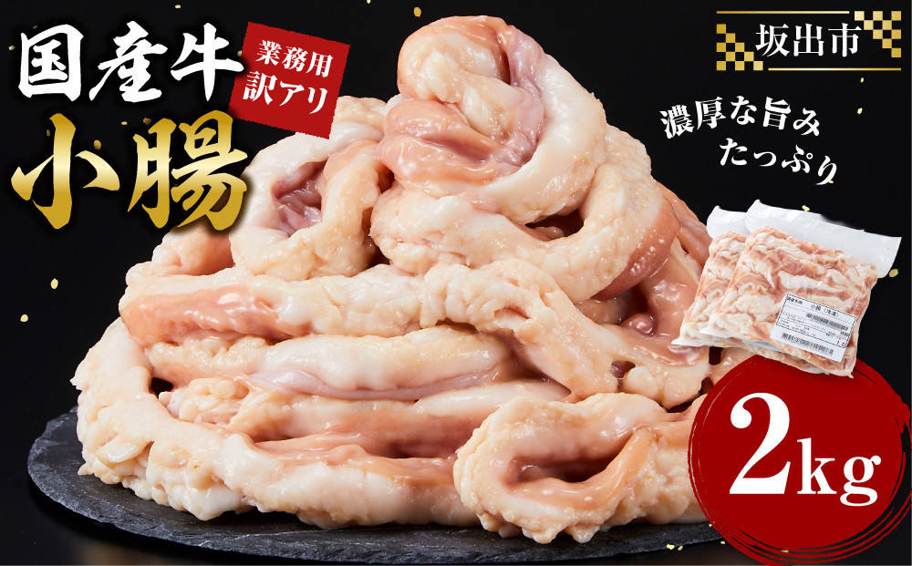 《業務用・訳アリ》国産牛　小腸　2kg