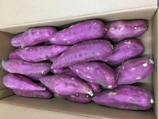 ïŒ2026幎8æäžæ¬ä»¥éçºéã»å
è¡äºçŽïŒãã¯ãã¯ç³»ãã€ãŸãããååºéæãããçŽ5kgÃ2ç®±ã2LïœMãµã€ãº