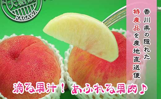 ＜滴る果汁とあふれる果肉が自慢のもも＞香川産の桃 4kgセット【先行予約・2026年6月下旬より順次発送】